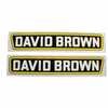 Case 1170 David Brown Decal Set, Name Only, Mylar