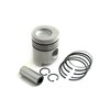 Ford 231 Piston and Rings - .020