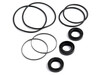 Oliver 1465 Hydraulic Pump Seal and O-Ring Kit