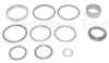 Ford 3600 Cylinder Seal Kit, For 2 inch cylinders