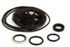 Ford Super Dexta O-Ring and Seal Kit
