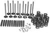 photo of This Valve Overhaul kit contains intake and exhaust valves, springs, guides and retainers. For model D17 with engine serial number 113009 to 119937. Not for engine serial number 117087 to 117104. For 6-cylinder diesel engine 262 CID.
