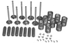 photo of Cylinder HEAD Overhaul Kit. Contains intake and exhaust valves, springs, guides, and keys. 1 kit used in 201 CID 4 cylinder gas engine (block # R26150) and 227 CID 4 cylinder gas engine (to SN# 122999). For tractor models 3010, 3020.
