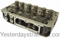 Ford Dexta Cylinder Head with Valves 3637784M91