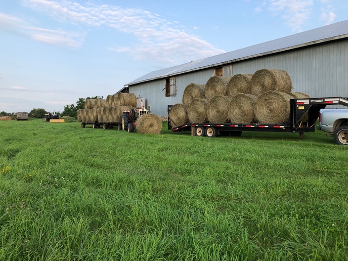 Running Rake Backwards to Ted Hay | Yesterday's Tractors Forums