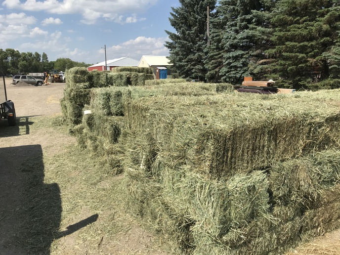Discussion Board Hay auction Yesterday's Tractors