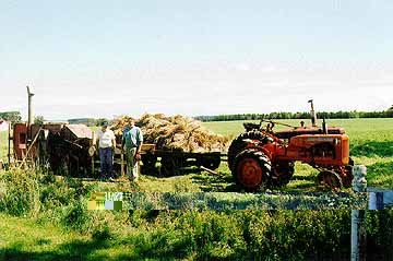 allis b and farmall h running thresher and trailer