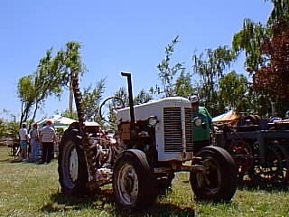 Silver King (Wide Front)
