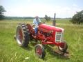 Todays featured picture is a 1957 IHC 350 Hi-Utility