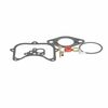 Ford 5000 Carburetor Kit, Basic