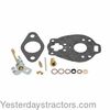 Massey Ferguson 204 Carburetor Kit, Basic