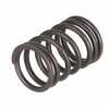 Massey Ferguson 6150 Valve Spring - Inner