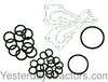 Massey Ferguson 690 Hydraulic pump o-ring and gasket kit