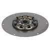 Farmall 656 Flex Plate, Remanufactured, 532249R91