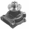 Allis Chalmers 7000 Water Pump, Remanufactured, 74007552, 4029129