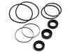 Oliver 1370 Hydraulic Pump Seal and O-Ring Kit