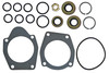 photo of Hydraulic Pump Seal, O-Ring and Gasket Set Fits: (I4, H, HV, O4, OS4, Super H, Super HV, Super W4, W4 all when converted Thompson live hydraulic pump), (300, 350 both when using Thompson live hydraulic pump; gas, LP or diesel), Fits pump #'s 363779R91, 363779R92, 363779R93, 363779R94, 366823R91, 366823R92, 366823R93 (the pump number is stamped into the aluminum upper pump housing). Contains 1 gasket 352439R1, 352439R2, 1 gasket 366783R1, 366783R2, 1 oil seal 356887R91, 124633R91, 2 oil seals 363781R91, 6 o-rings 355965R1, 511029, 1 o-ring 259246R1, 87016953, 2 o-rings 257611R1, 70925639, 2 back-up washers 369870R1, 1 5\8 inch - 18 NF jam nut 114498 and 86637932. Replaces: 363783R93, 363783R94