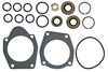 Farmall 300 Hydraulic Pump Seal, O-Ring and Gasket Set