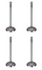 photo of Exhaust Valve for Models: 130, 140, 230, 240, 330, 340. (Valve Length 5-15\64 inch). Price shown is for each, sold only in multiples of 4 items.