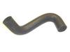 Farmall HYDRO 70 Radiator Hose Lower