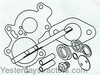 Ferguson TEA20 Carburetor Kit, Basic