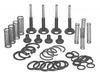 Massey Ferguson 180 Lift Pump VALVE CHAMBER Repair Kit