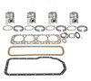 Ford 6600 Basic In-Frame Overhaul Kit, 256 Diesel