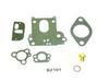 Farmall 3444 Carburetor Kit, Basic