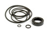 photo of This Power Steering Seal Kit is used on steering gear assemblies. It contains (1) C9NN3747A, (1) C9NN3E614A, (2) C9NN3A590A, (2) C9NN3D624B, (1) E1NN3N632AA. Replaces EGPN3N503AA, 83957121