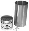 Ford 2N Piston and Sleeve Set
