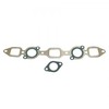 photo of This Gasket Set is used with 406046R1 Manifold.