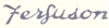 Ferguson TO20 Ferguson Script Decal