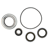 Farmall 340 PTO Bearing and Seal Kit