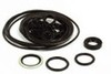 Ford Dexta O-Ring and Seal Kit