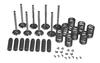 Ford 901 Valve Train Kit, 134 CID Gas