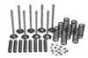 photo of Fits A, AV, B, BN, Super A, AV to serial number 255417 valve length 4-25\32 inch, (4 cylinder Gas\C113). Kit includes valves, valve springs (for non-roto exhaust valve), valve keys, and valve guides. Replaces exhaust valves marked 42025DA and intake valves marked 42024D.