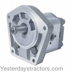 155895 Hydraulic Pump - Economy 155895