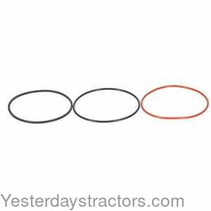 John Deere 2030 Liner Sealing Ring Kit 166432