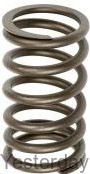 251262R2 Valve Spring 251262R2