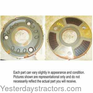 499623 Brake Plate with Linings 499623