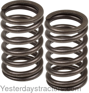 74513813 Valve Spring 74513813