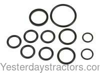 Ford 4610 Hydraulic Valve O-Ring Kit DHPN485A