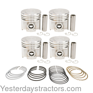 R8202 Piston and Ring Set R8202