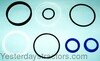 photo of New series with plastic type piston rings and white backup washer. For tractor models 265, 275, 285, 290, 298, 30D, 50, 50B, (565, 575, 590, 670, 675, 690 all 2 wheel drive). VERIFY PART NUMBER TO ENSURE CORRECT REPLACEMENT.